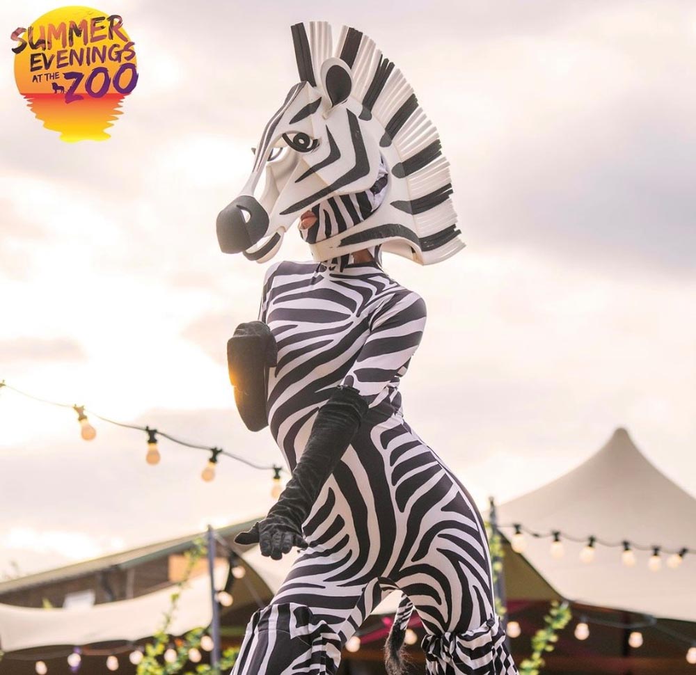 zebra animal on stilts